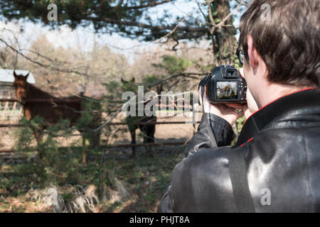 Le jeune photographe prendre des photos de chevaux Banque D'Images