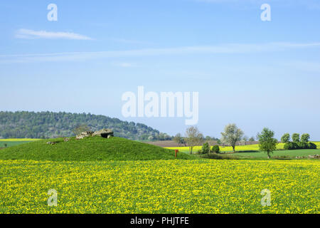 Pissenlit fleur champ avec un mégalithe tombe sur une colline Banque D'Images