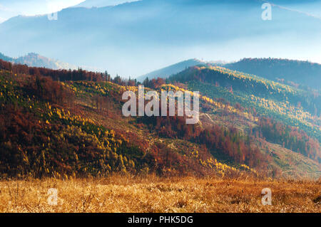 Libre de collines d'un smoky mountain range couvert de brume blanche et la forêt de feuillus sur une chaude journée d'automne en octobre. Carpates, Ukraine Banque D'Images