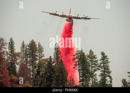 Une bombe incendiaire de lutte contre l'aéronef descend en une charge de produit ignifuge sur le feu Ferguson en Sierra National Forest, le 22 juillet 2018 à Mariposa County, en Californie. Banque D'Images