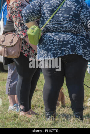 Deux gros sacs à main mesdames avec debout ensemble sur l'herbe. L'obésité et l'obésité chez les femmes. Banque D'Images