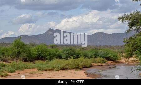 D'Ewaso Nyiro à Samburu, Kenya Banque D'Images