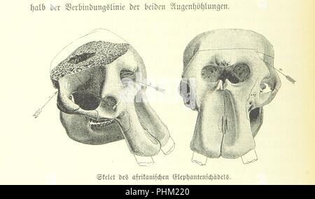 Libre à partir de la page 608 de "Rudolph-See Stephanie-See und zum. Die Forschungsreise des am See xi/Ost-Acquatorial-S. Teleki dans Afrika, 1887-1888". Banque D'Images