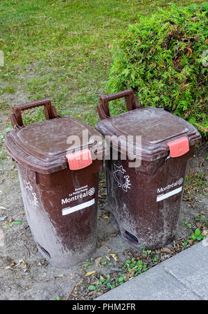 Bac brun pour la collecte de compost à Montréal, QC, Canada Banque D'Images