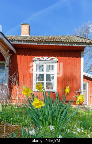 Chalet Rouge avec fleurs de la jonquille en fleur Banque D'Images