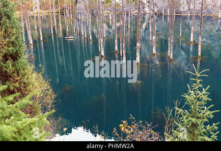 La forêt engloutie dans le lac Kaindy, au Kazakhstan. Banque D'Images