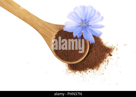 Fleur de chicorée et poudre de chicorée instantanée en cuillère en bois isolé sur un fond blanc. Cichorium intybus. Banque D'Images