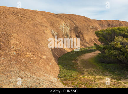 Wave Rock dans la vague Rock Wildlife Park Banque D'Images