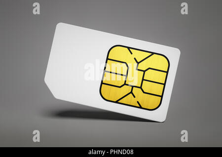 Carte SIM typique Banque D'Images