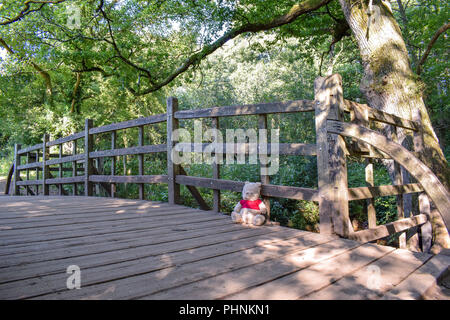 Winnie l’ourson Banque D'Images