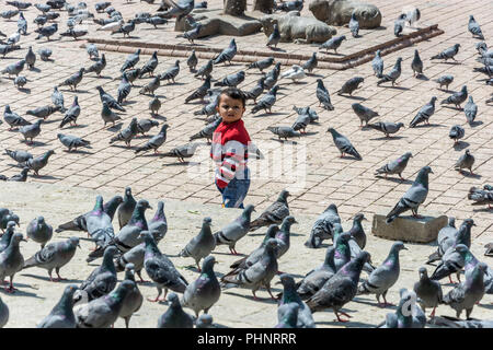 Katmandou, Népal-13.04.2018 : le garçon se tient dans la place parmi un grand troupeau de pigeons sur 13 Avril 2018 Katmandou, Népal. Banque D'Images