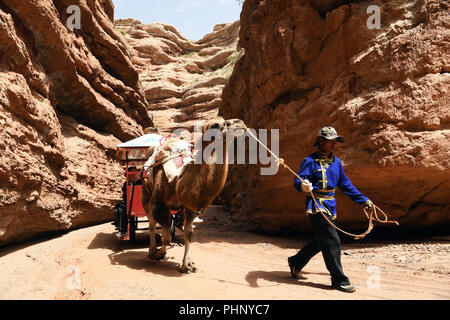 Zhangye, la province de Gansu. Août 27, 2018. Un berger mène un chameau transportant des touristes à Pingshanhu à Zhangye, endroit pittoresque du nord-ouest de la Chine, la province de Gansu, le 27 août, 2018. En 2018, la province du Gansu a mis en œuvre une série de projets visant à promouvoir le développement du tourisme rural, qui permet d'améliorer les conditions de vie et d'aider les agriculteurs à augmenter les revenus. Ventilateur/Peishen Crédit : Xinhua/Alamy Live News Banque D'Images