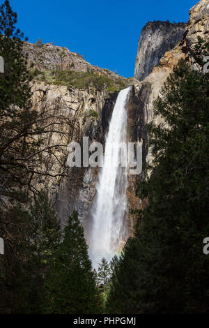 Cascade dans le parc Yosemite Banque D'Images