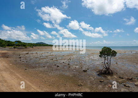 Landsape de Nagura Bay à marée basse à Ishigaki Île d'Okinawa, Japon. Banque D'Images