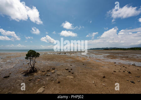 Landsape de Nagura Bay à marée basse à Ishigaki Île d'Okinawa, Japon. Banque D'Images