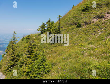 Pente de Mt. Rigi en Suisse en été. Le Rigi est une destination touristique populaire, accessible par un chemin de fer à crémaillère de montagne. Banque D'Images