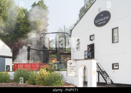 Passé à la vapeur - un grain par produit du processus de fabrication du whisky après 'mashing' - est versé dans une remorque à la Distillerie Glengoyne, Ecosse, Royaume-Uni Banque D'Images