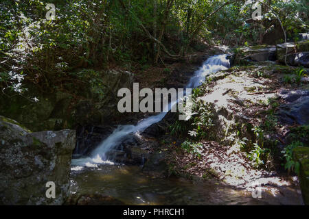 Petit ruisseau dans la forêt tropicale. Il fait de ces petites mais très belle cascade Banque D'Images