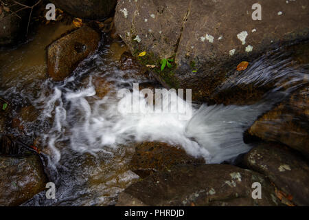 Petit ruisseau dans la forêt tropicale. Il fait de ces petites mais très belle cascade Banque D'Images