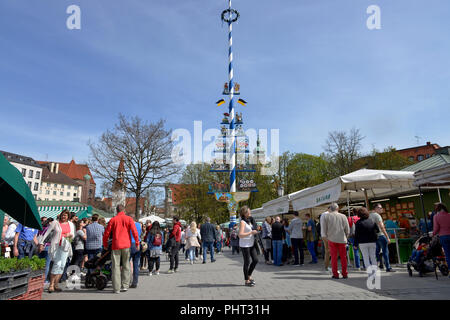 Maibaum, Viktualienmakt, Munich, Bayern, Deutschland Banque D'Images