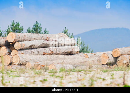 Pile de grumes en bois sous ciel bleu en Carpates Banque D'Images