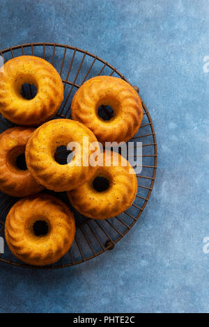 Mini gâteaux aux graines de pavot orange sur un fil cake rack. Banque D'Images