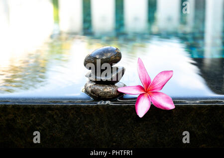 Fleurs de frangipanier rose et humide les pierres noires Banque D'Images