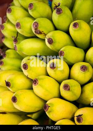 Close up vertical de bananes au Sri Lanka. Banque D'Images