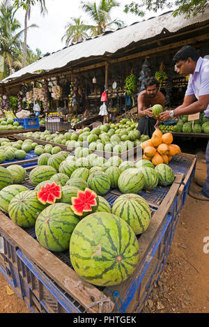 Vue verticale d'un décrochage en bordure de vendre les pastèques au Sri Lanka. Banque D'Images