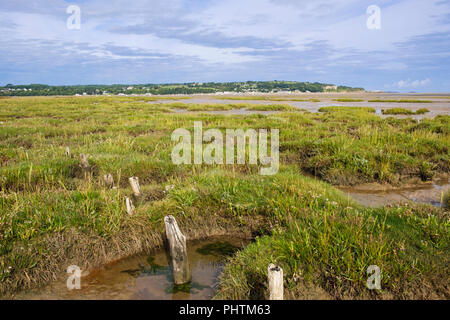 Des zones humides côtières saltmarsh bog à marée basse dans la baie de quai rouge (Traeth Coch) de l'AONB Pentraeth, Isle of Anglesey (Ynys Mon), pays de Galles, Royaume-Uni, Angleterre Banque D'Images