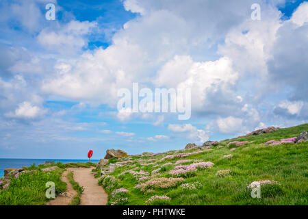 Sentier du littoral le long de la côte de Cornouailles Banque D'Images