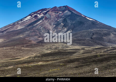 Volcan Lonquimay, Réserve nationale du Malalcahuello-Nalcas, région d'Araucania, Chili Banque D'Images