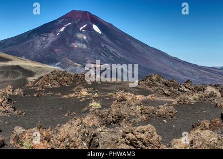 Volcan Lonquimay, Réserve nationale du Malalcahuello-Nalcas, région d'Araucania, Chili Banque D'Images