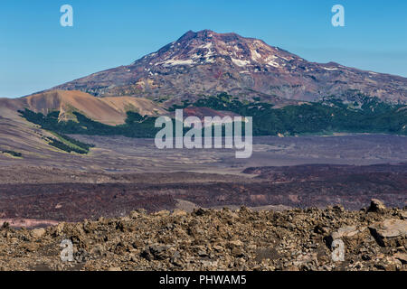 Volcan Lonquimay, Réserve nationale du Malalcahuello-Nalcas, région d'Araucania, Chili Banque D'Images