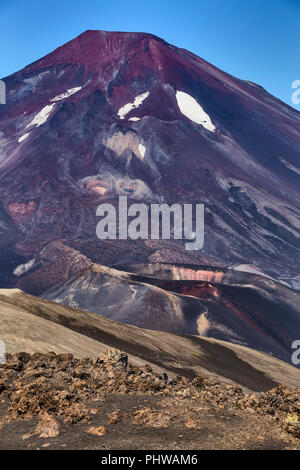Volcan Lonquimay, Réserve nationale du Malalcahuello-Nalcas, région d'Araucania, Chili Banque D'Images