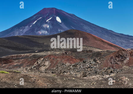 Volcan Lonquimay, Réserve nationale du Malalcahuello-Nalcas, région d'Araucania, Chili Banque D'Images
