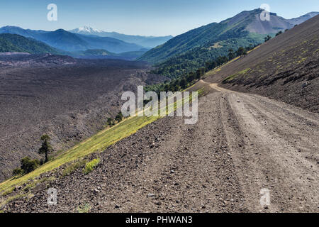 Volcan Lonquimay, Réserve nationale du Malalcahuello-Nalcas, région d'Araucania, Chili Banque D'Images