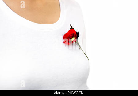 Épinglette coquelicot rouge sur T-shirt femme Banque D'Images