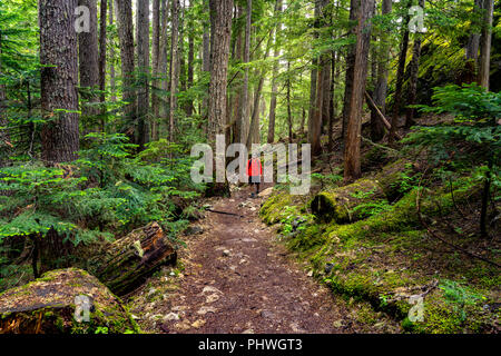 Randonneur s'arrête pour profiter de la vue le long d'un sentier dans les montagnes côtières près de Whistler, en Colombie-Britannique. Banque D'Images