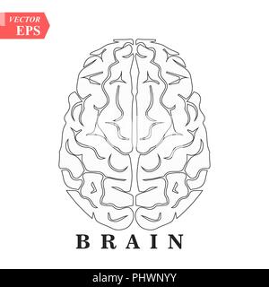 Le cerveau, l'esprit ou l'intelligence l'icône d'art de la ligne pour les applications et sites web Illustration de Vecteur