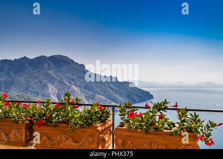 Bougainvillea glabra sur patio sur la péninsule de Sorrente en Italie Banque D'Images