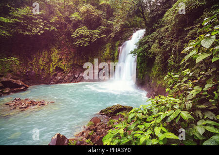 Cascade au Costa Rica Banque D'Images