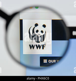 Milan, Italie - 20 août 2018 : Le WWF accueil du site. Logo WWF visible. Banque D'Images