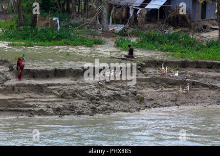L'érosion sur la banque du fleuve Tetulia, Patuakhali, Bangladesh Banque D'Images