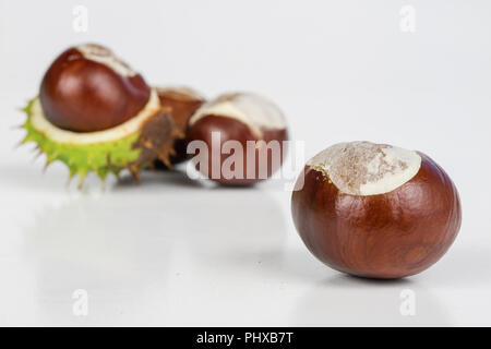 Châtaignes mûres en boyaux sur un tableau blanc. Fruit de l'arbre - chestnut. Arrière-plan blanc. Banque D'Images