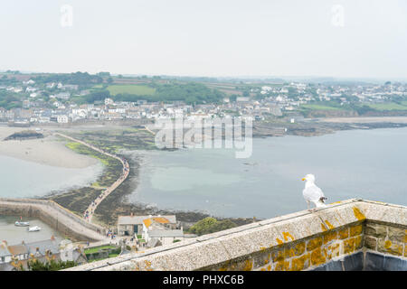 Marazion, Angleterre - Mai 2018 : Seagull assis sur un des murs du château donnant sur sentier menant au Mont St Michaels Banque D'Images