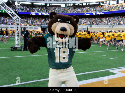 Waco, Texas, USA. Du 1er septembre 2018. Baylor Bears mascot durant la 1ère moitié de la NCAA Football match entre les Wildcats de Abilene Christian et au Baylor Bears à McLane Stadium à Waco, Texas. Matthew Lynch/CSM/Alamy Live News Banque D'Images