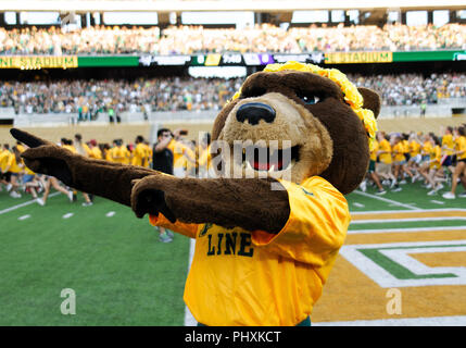 Waco, Texas, USA. Du 1er septembre 2018. Baylor Bears mascot durant la 1ère moitié de la NCAA Football match entre les Wildcats de Abilene Christian et au Baylor Bears à McLane Stadium à Waco, Texas. Matthew Lynch/CSM/Alamy Live News Banque D'Images