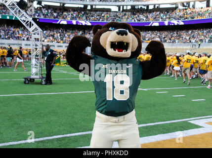 Waco, Texas, USA. Du 1er septembre 2018. Baylor Bears mascot durant la 1ère moitié de la NCAA Football match entre les Wildcats de Abilene Christian et au Baylor Bears à McLane Stadium à Waco, Texas. Matthew Lynch/CSM/Alamy Live News Banque D'Images