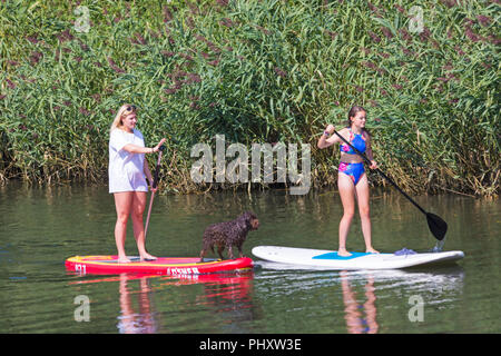 Tuckton, Bournemouth, Dorset, Royaume-Uni. 3 septembre 2018. Temps au Royaume-Uni : belle journée chaude et ensoleillée tandis que les visiteurs se promenent le long de la rivière Stour à Tuckton. Jeunes femmes paddleboard avec paddle-board sur paddleboard - paddleboarder paddle-boarder. Crédit : Carolyn Jenkins/Alay Live News Banque D'Images